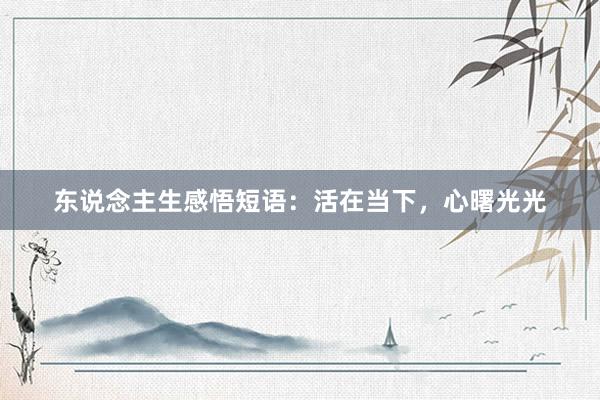 东说念主生感悟短语：活在当下，心曙光光
