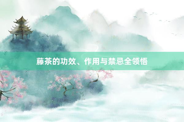 藤茶的功效、作用与禁忌全领悟